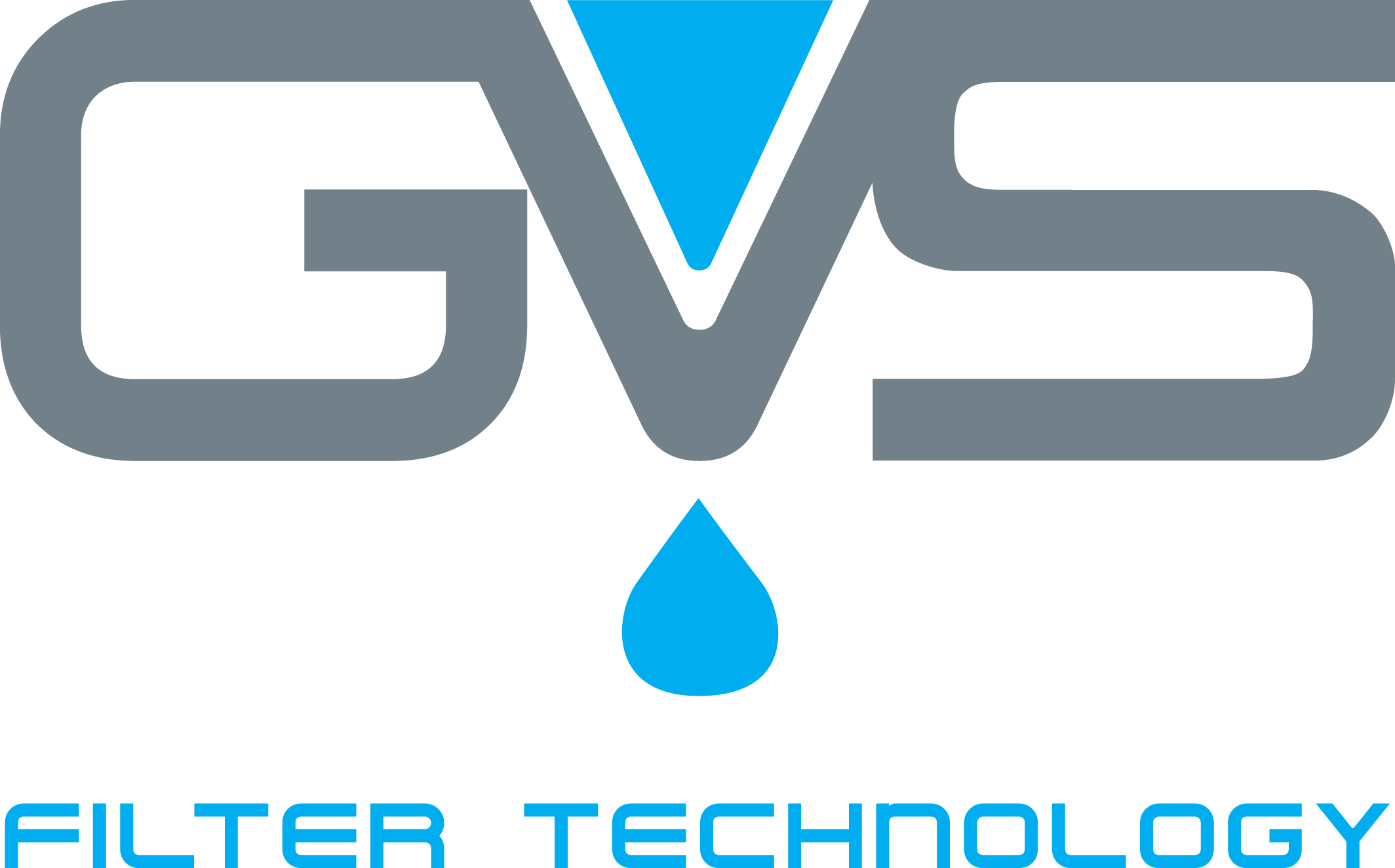 GVS RUS, LLC